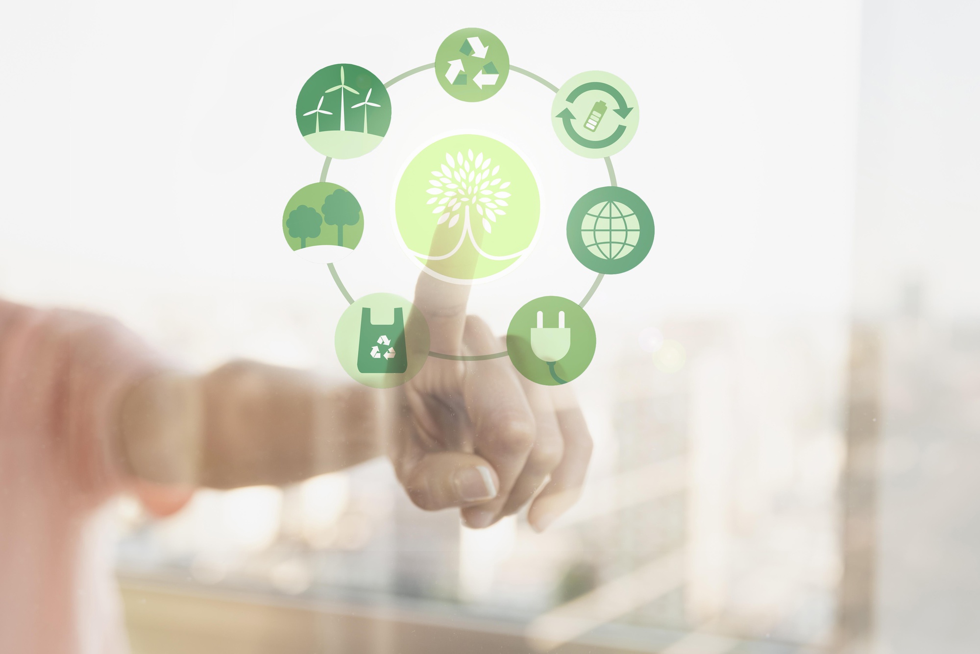 What are the main requirements of ISO 14001 explained by BMS Pakistan