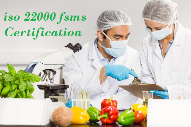 Blog FAQ section illustration – ISO 22000 FSMS certification questions answered by BMS